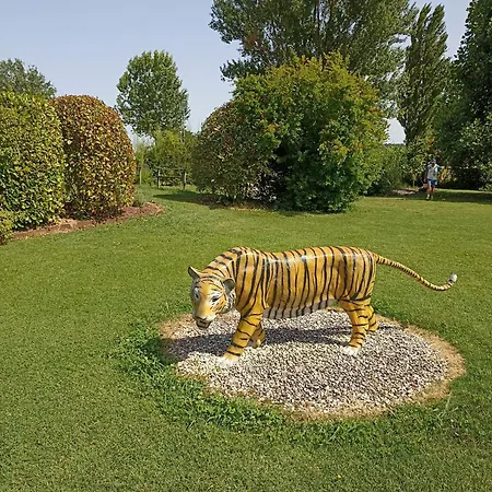 Piscina Privata Tiger Home, Toscana דירה קאפאנורי