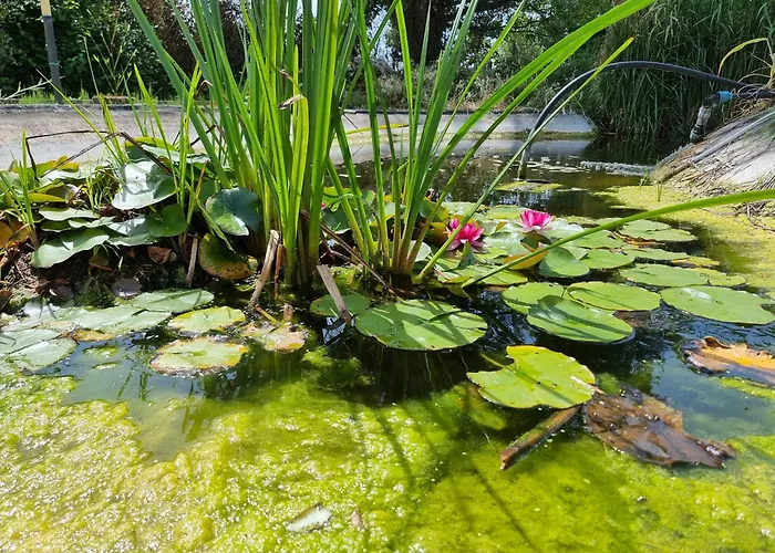 [piscina Privata] Tiger Home, Toscana Capannori